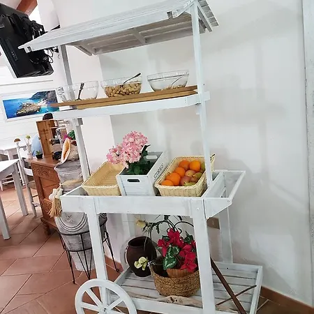 Ristorante La Conchiglia 4*