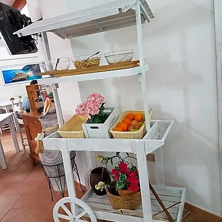 Ristorante La Conchiglia 4*